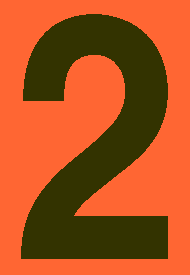 4 Inch Black #2 on Orange Vinyl
