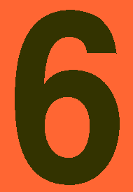 4 Inch Black #6 on Orange Vinyl